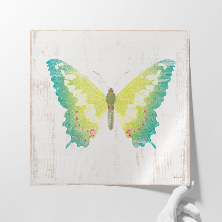 White Barn Butterflies III - Canvas Print Wall Art