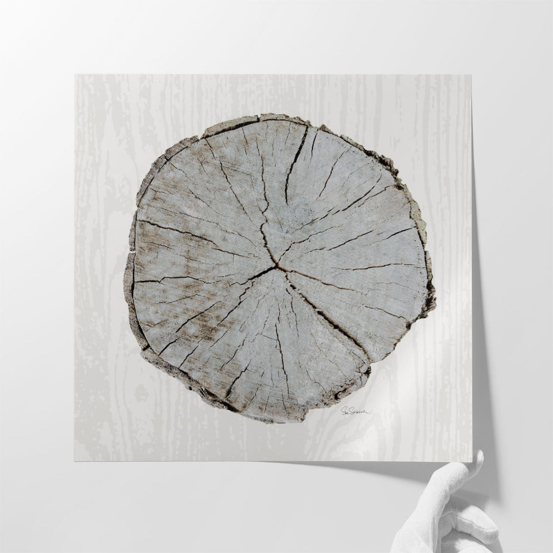 Woodland Years I - Canvas Print Wall Art