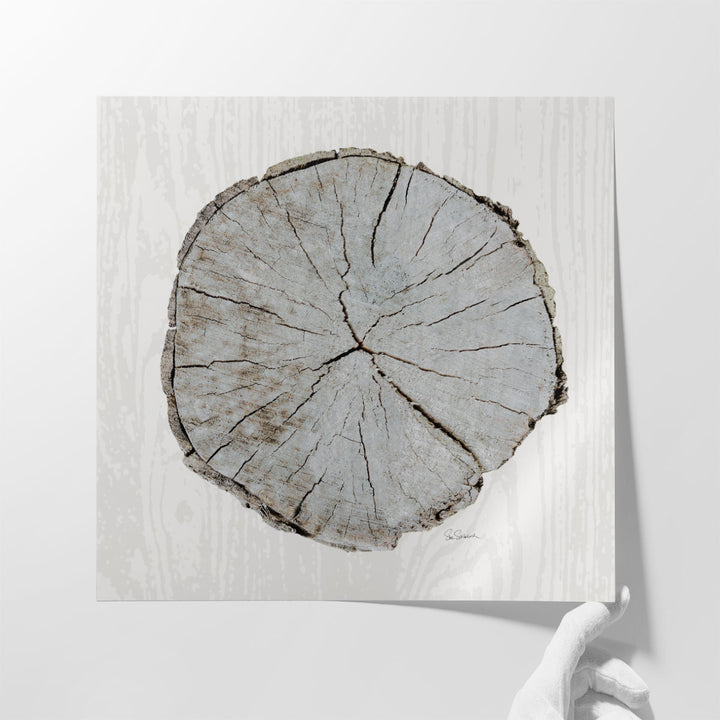 Woodland Years I - Canvas Print Wall Art