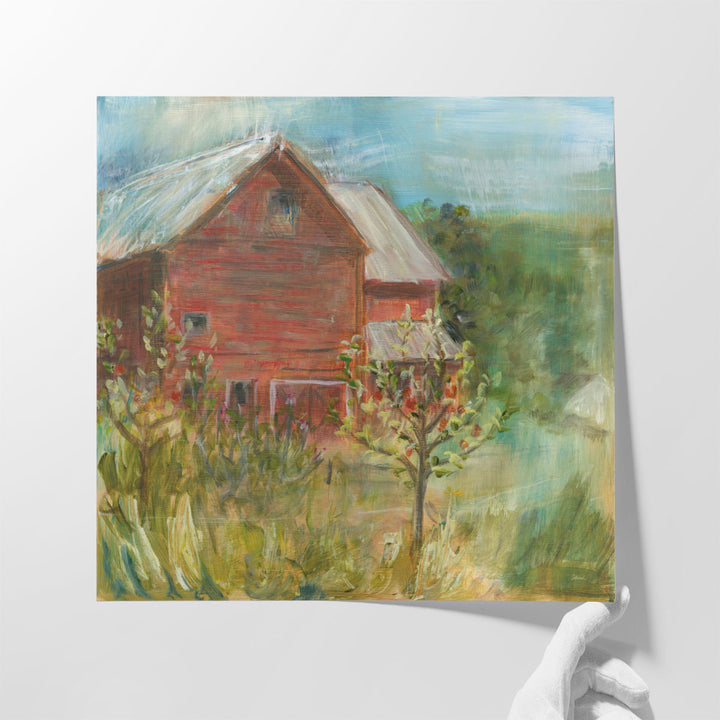 Barn Orchard - Canvas Print Wall Art