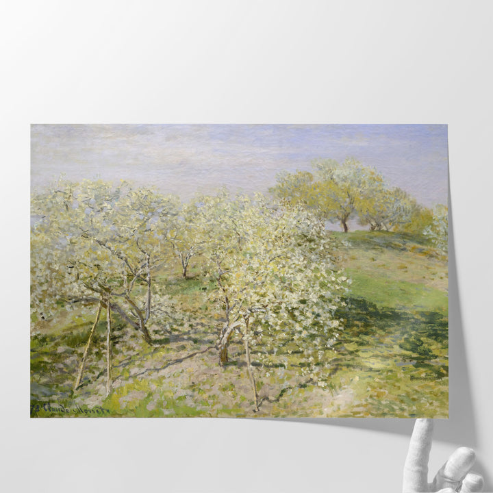 Spring (Fruit Trees in Bloom), 1873 - Canvas Print Wall Art