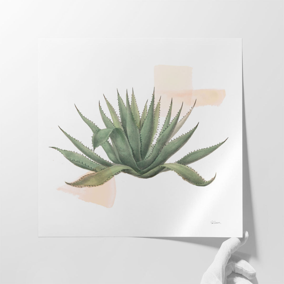 Desert Color Succulent I - Canvas Print Wall Art