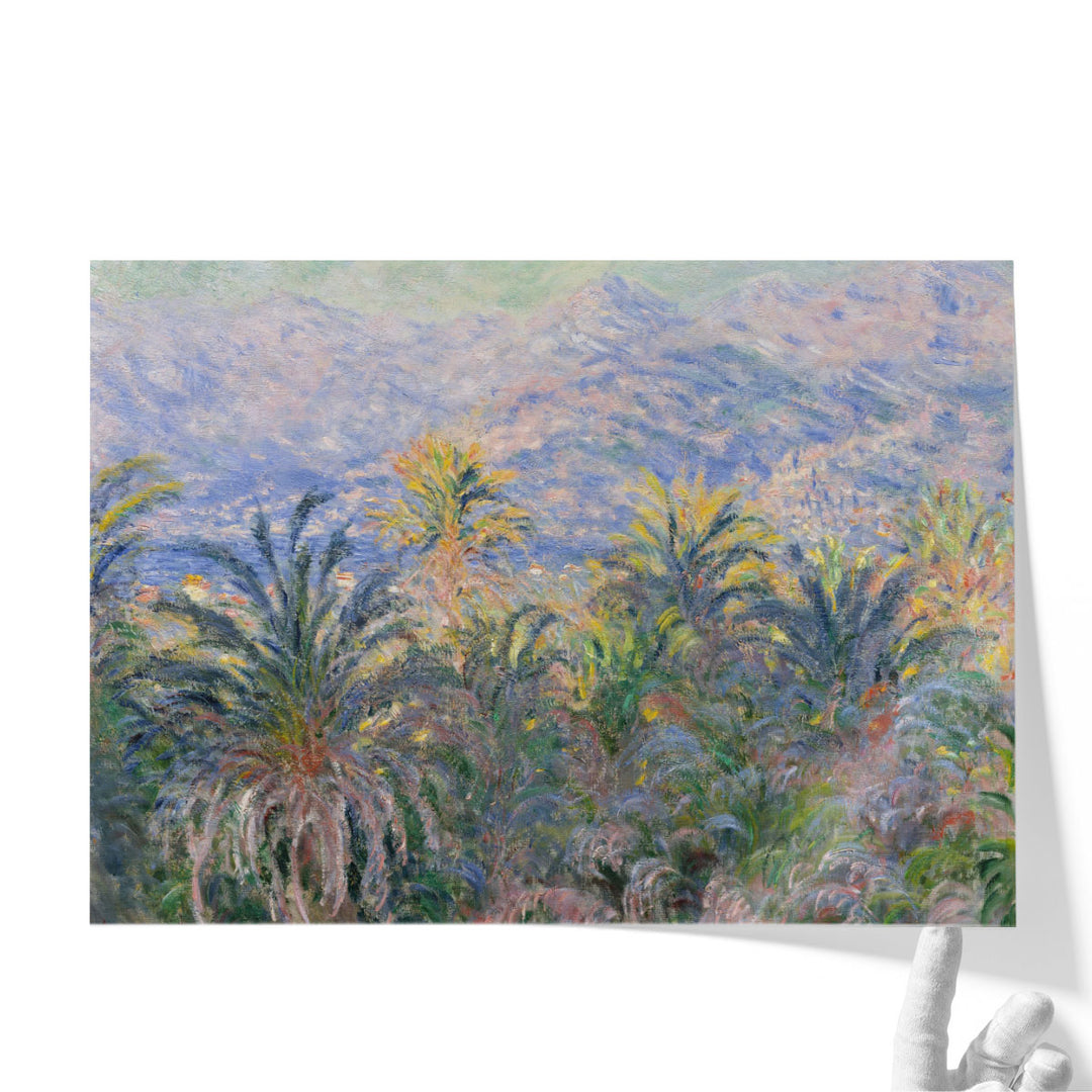 Palm Trees at Bordighera, 1884 - Canvas Print Wall Art