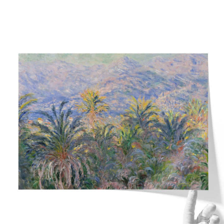 Palm Trees at Bordighera, 1884 - Canvas Print Wall Art