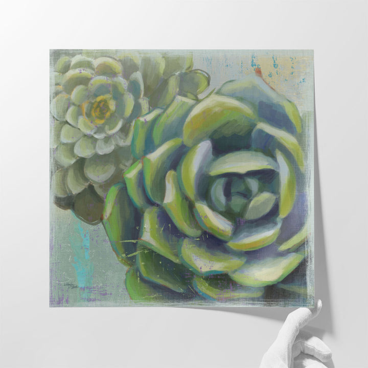 Succulents II - Canvas Print Wall Art