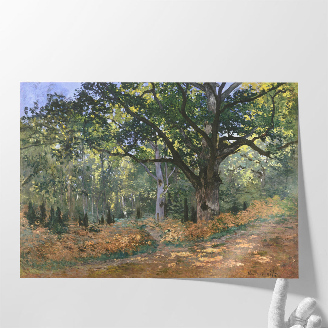 The Bodmer Oak, Fontainebleau Forest, 1865 - Canvas Print Wall Art