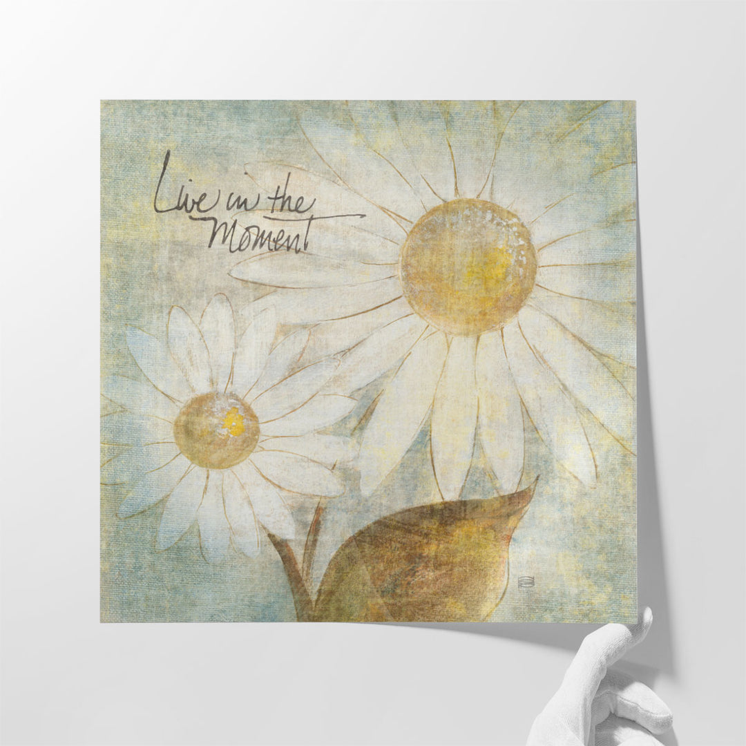 Daisy Do III - Live in the Moment - Canvas Print Wall Art