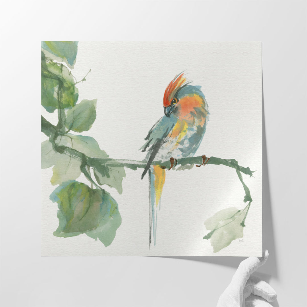 Crested Cockatoo - Canvas Print Wall Art