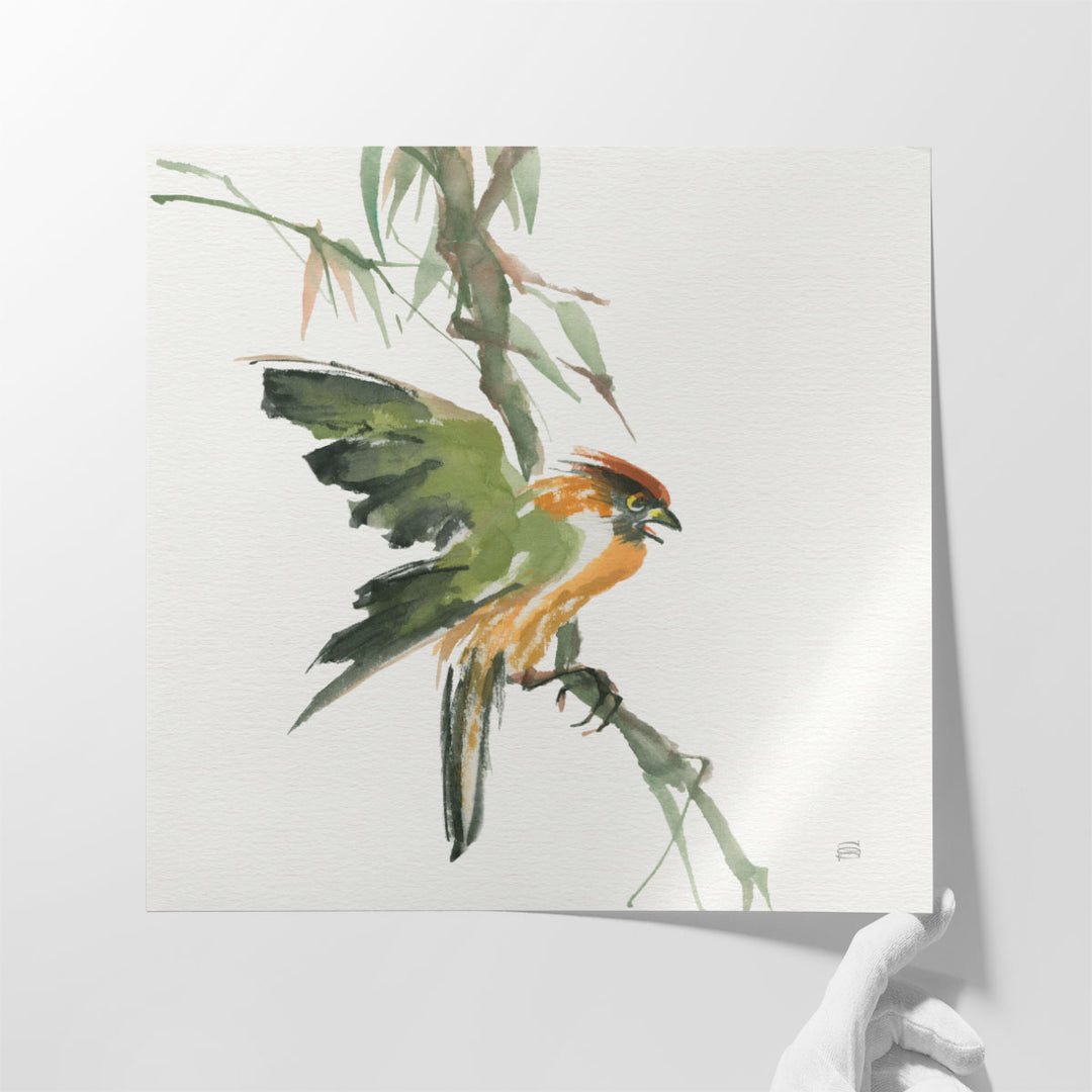 Formosan Firecrest - Canvas Print Wall Art