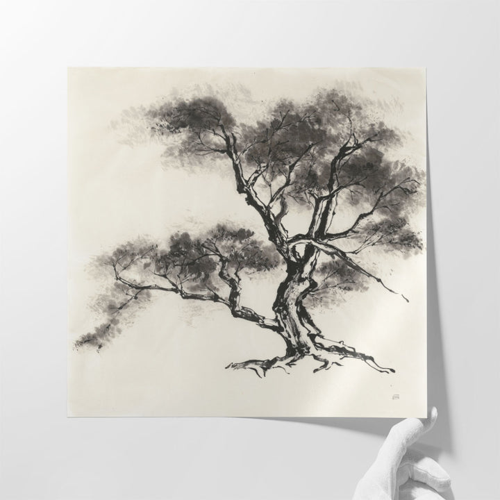 Sumi Tree II - Canvas Print Wall Art