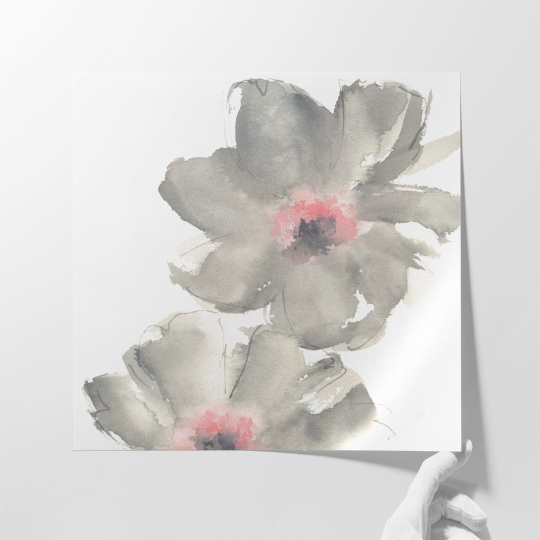 Gray Blush Cosmos II on White - Canvas Print Wall Art