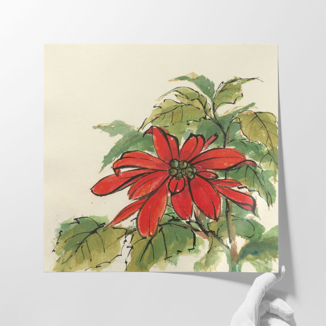 Poinsettia I - Canvas Print Wall Art