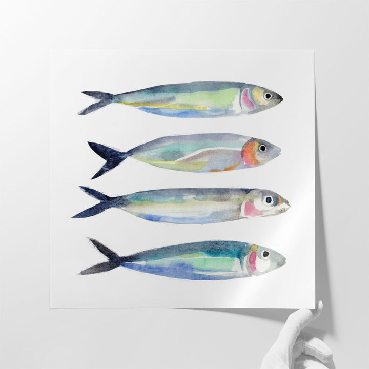 Sardine Team I - Canvas Print Wall Art