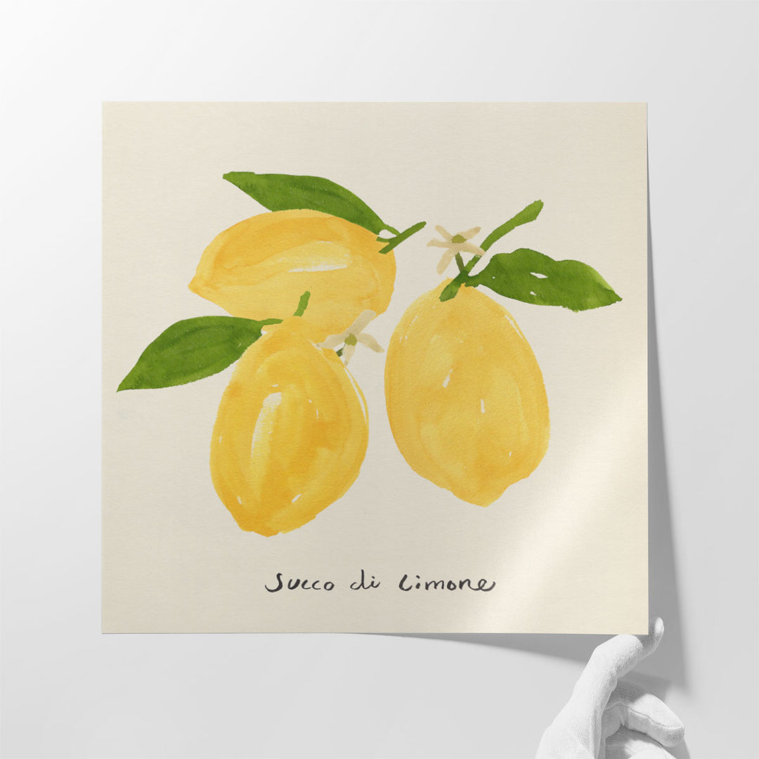 Citrus Trattare I - Canvas Print Wall Art