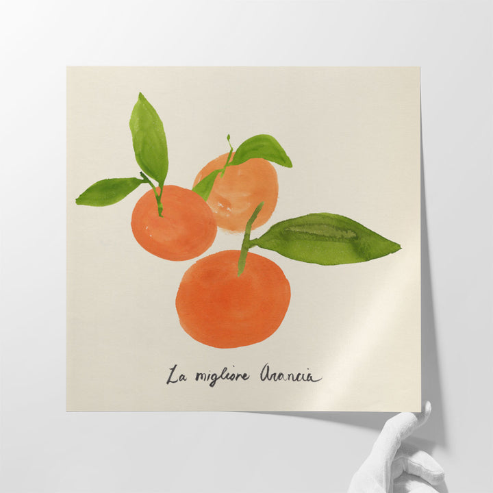 Citrus Trattare II - Canvas Print Wall Art