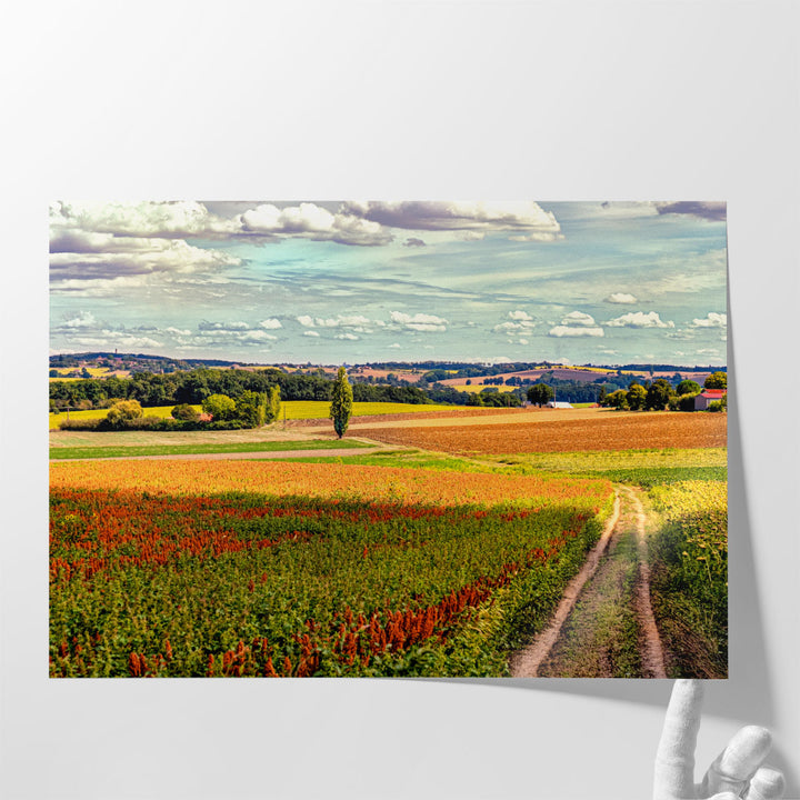 Back Road From Francescas - Canvas Print Wall Art