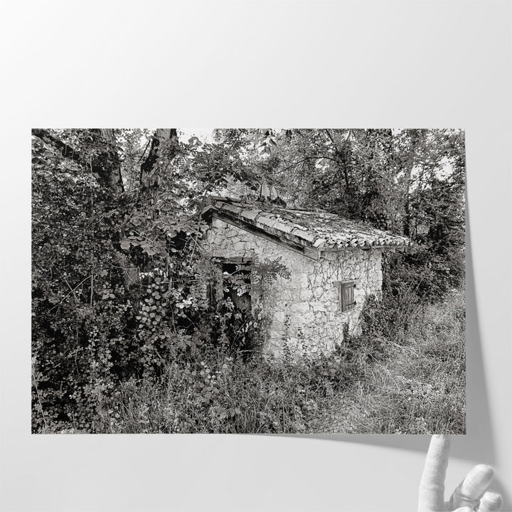 Back To Nature Black And White - Canvas Print Wall Art