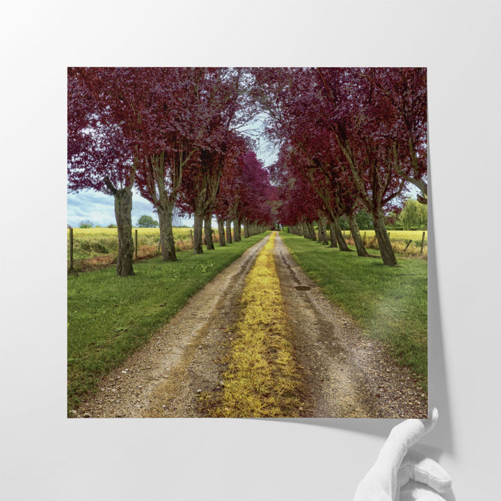 Approach - Canvas Print Wall Art