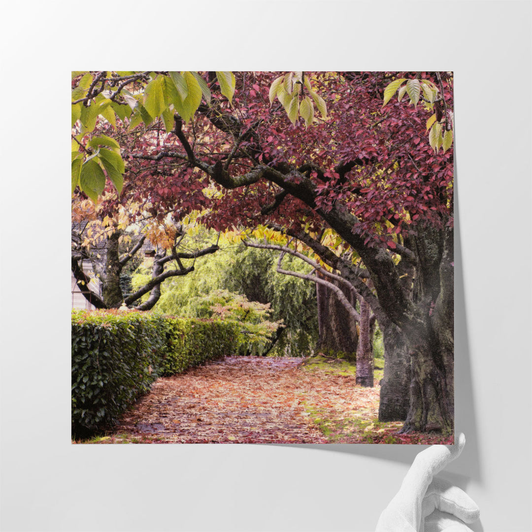 Arch Of Trees - Canvas Print Wall Art