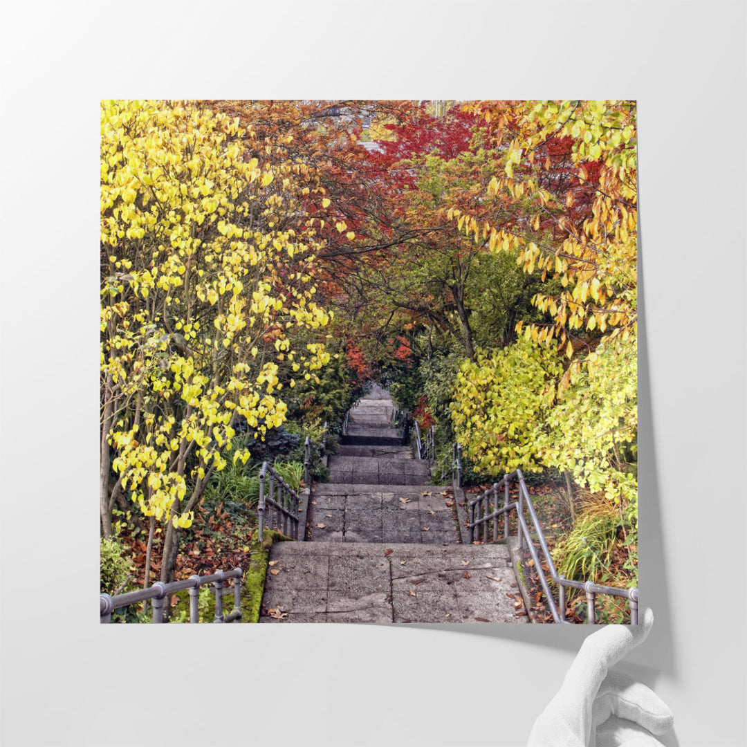 Autumn Tunnel - Canvas Print Wall Art