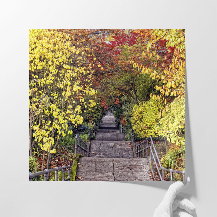 Autumn Tunnel - Canvas Print Wall Art