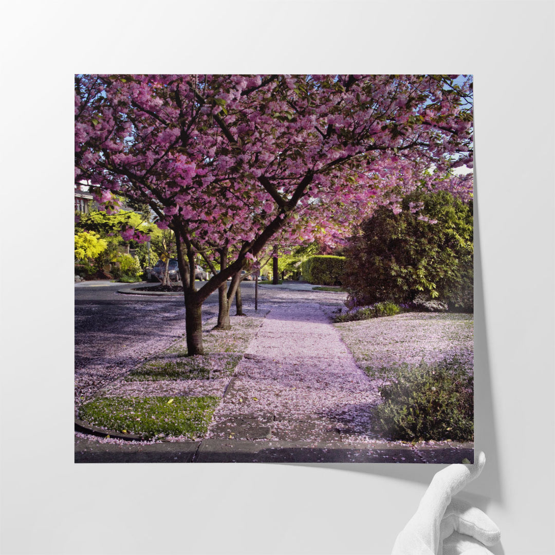 Fallen Petals - Canvas Print Wall Art