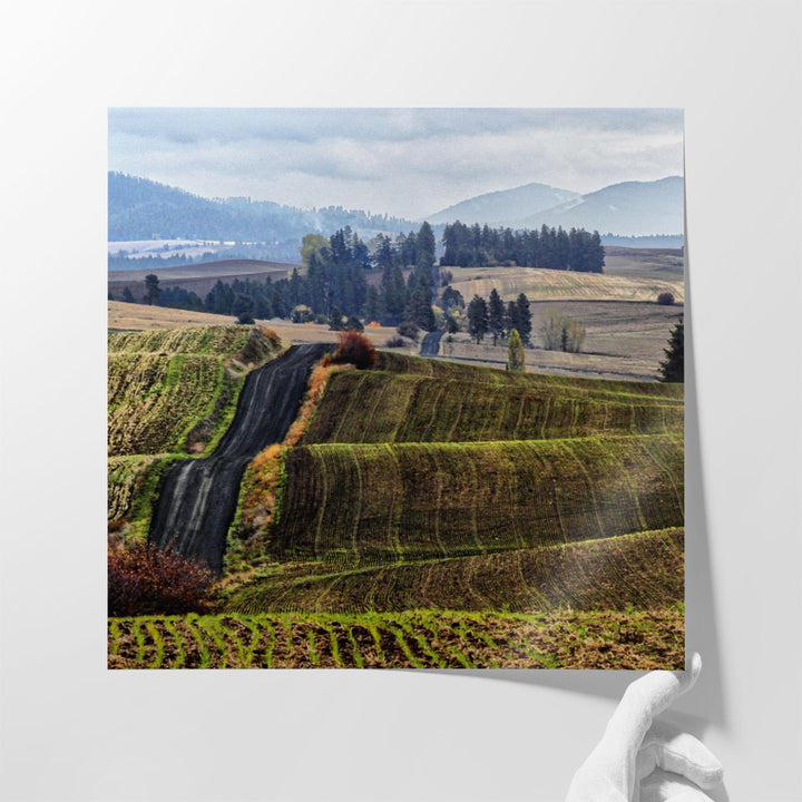 Palouse Hills - Canvas Print Wall Art