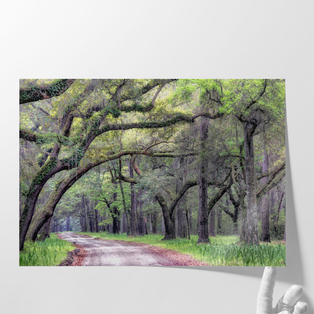 Dirt Road I - Canvas Print Wall Art