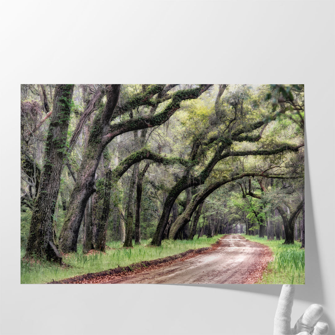 Dirt Road II - Canvas Print Wall Art