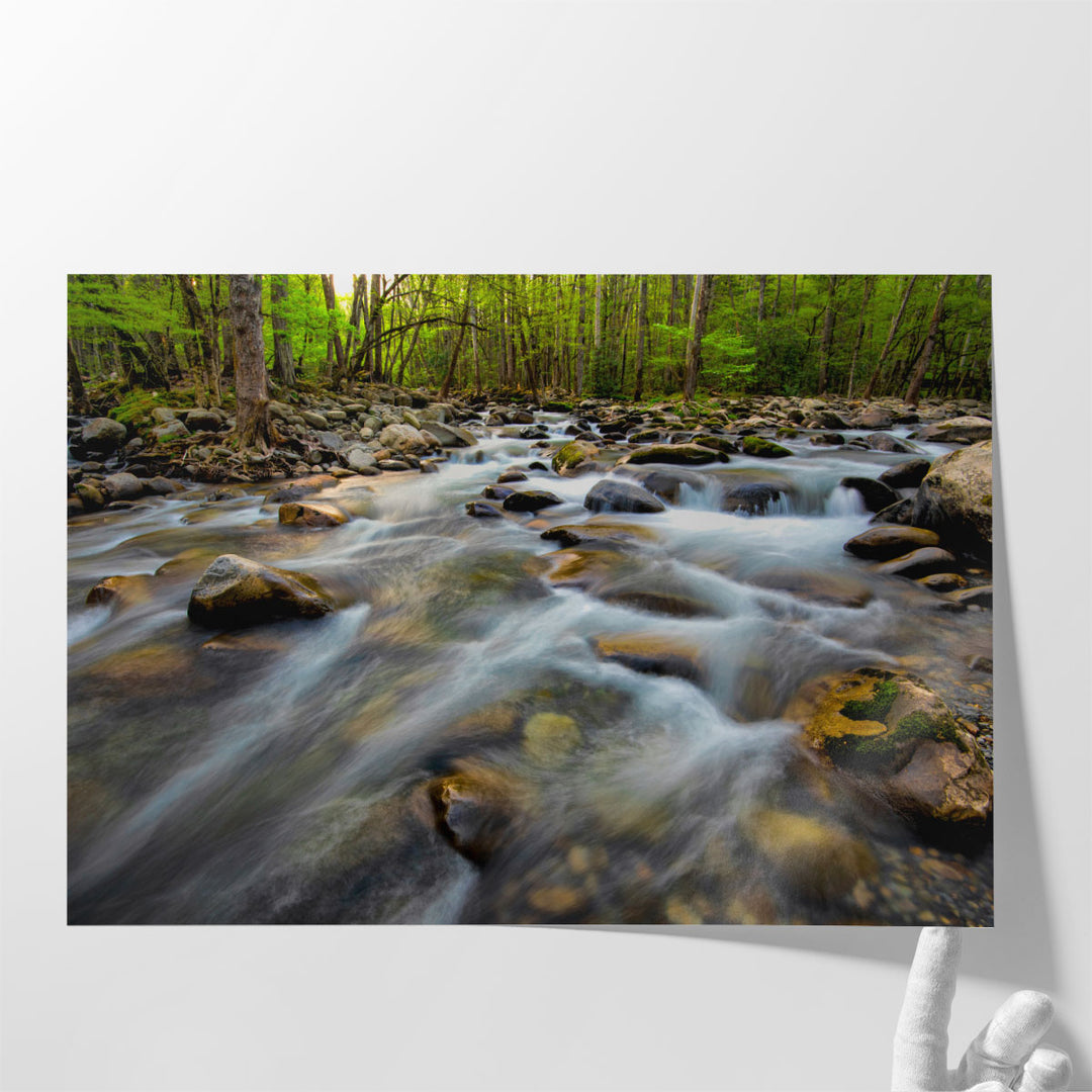 Golden Flow - Canvas Print Wall Art