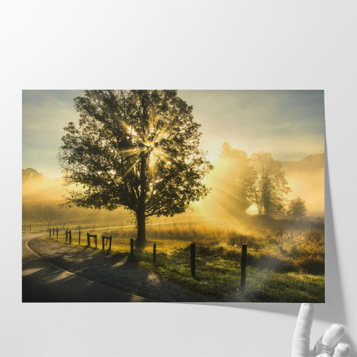 Wake Up Call - Canvas Print Wall Art