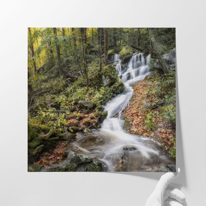 Roadside Falls - Canvas Print Wall Art