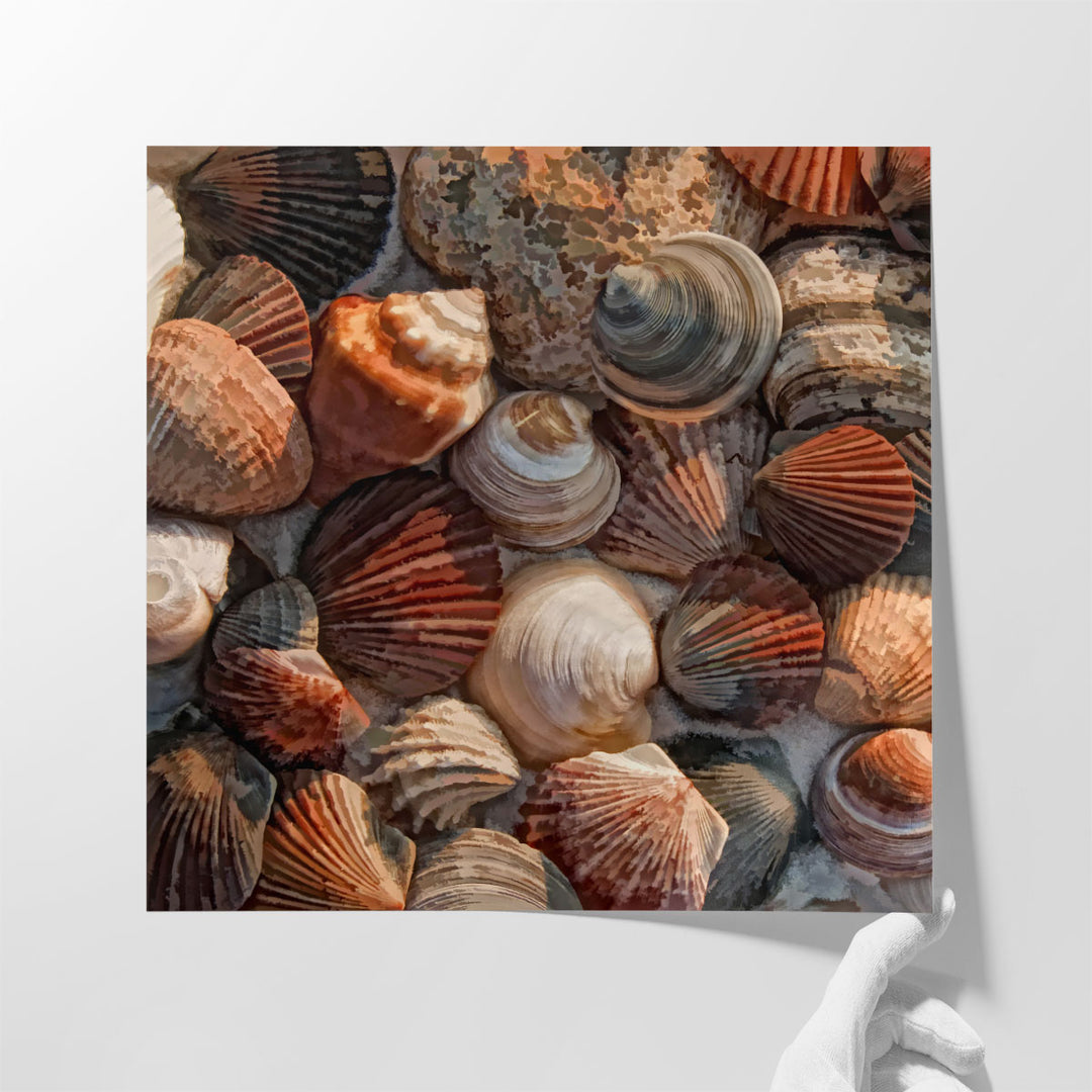 Shell Yes - Canvas Print Wall Art