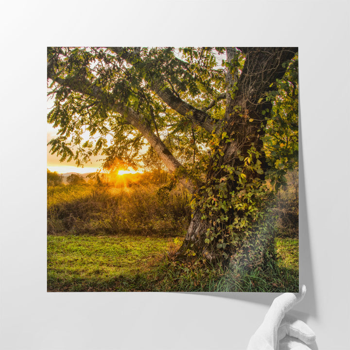 Calling It a Day - Canvas Print Wall Art