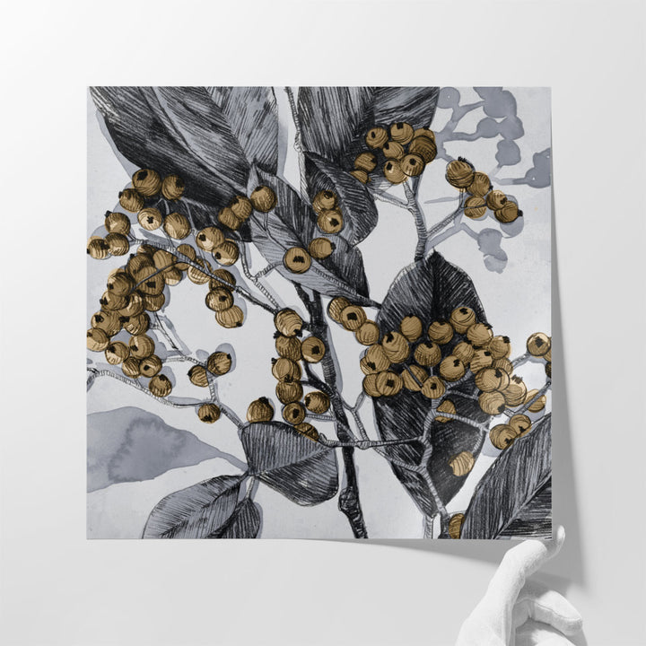 Holly Shadow II - Canvas Print Wall Art