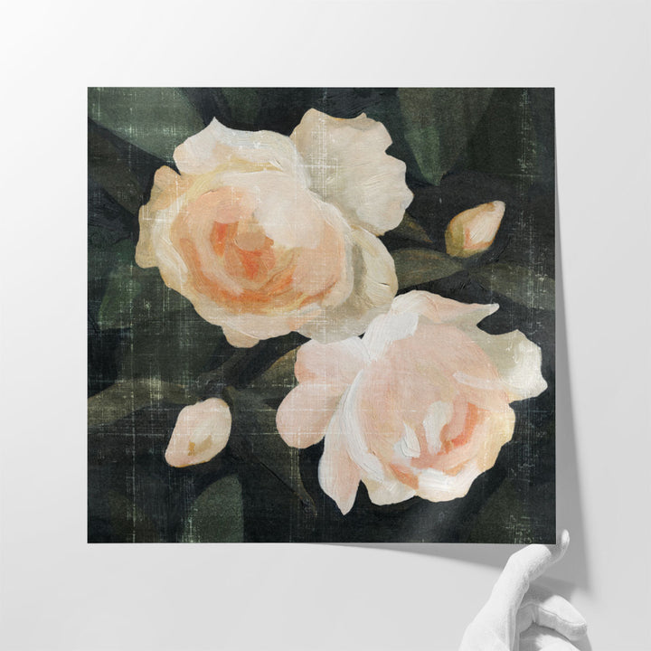 Soft Garden Roses I - Canvas Print Wall Art