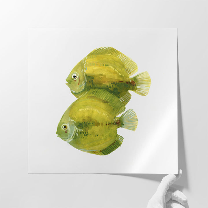 Discus Fish II - Canvas Print Wall Art