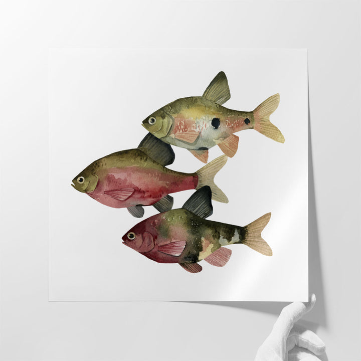 Rainbow Fish I - Canvas Print Wall Art