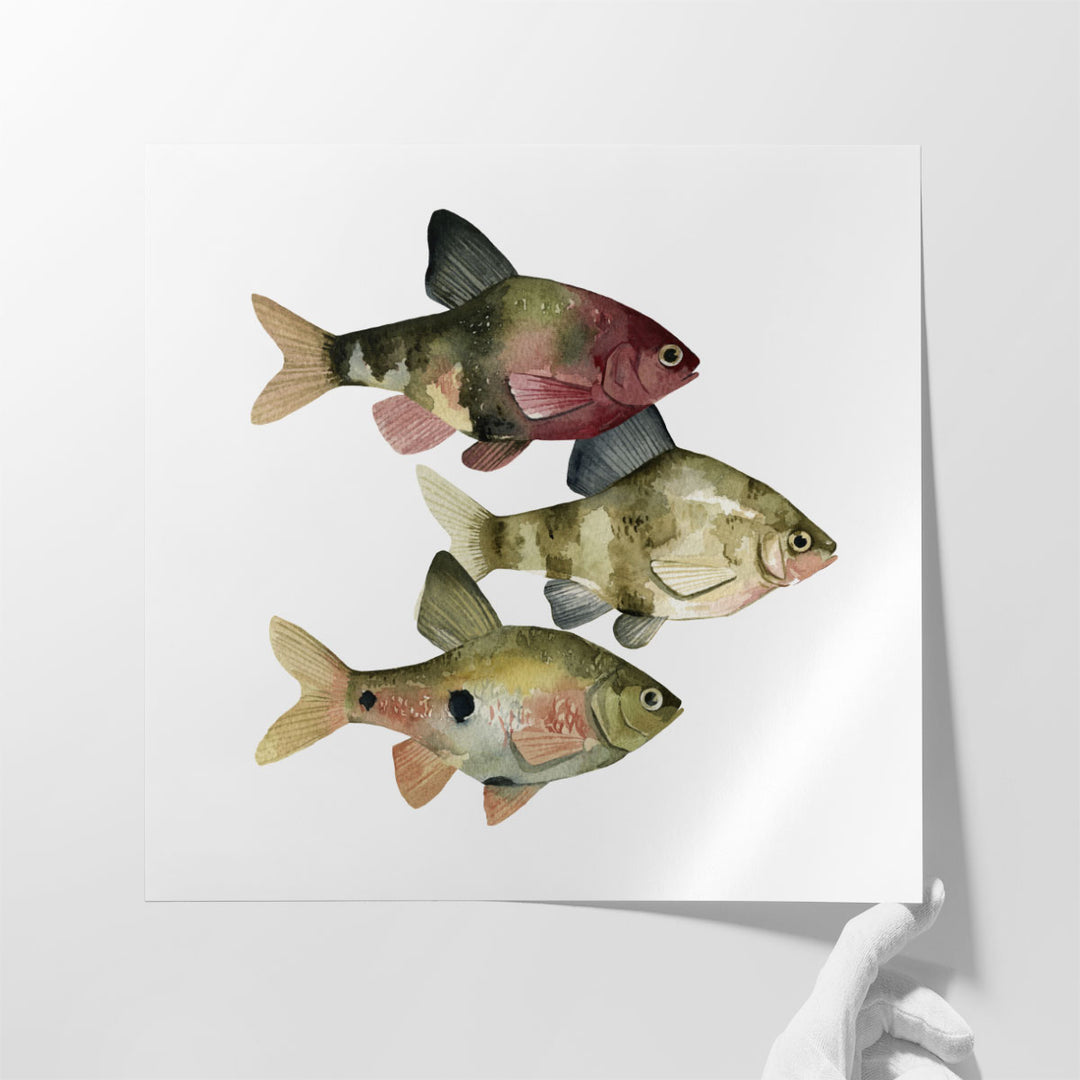 Rainbow Fish II - Canvas Print Wall Art