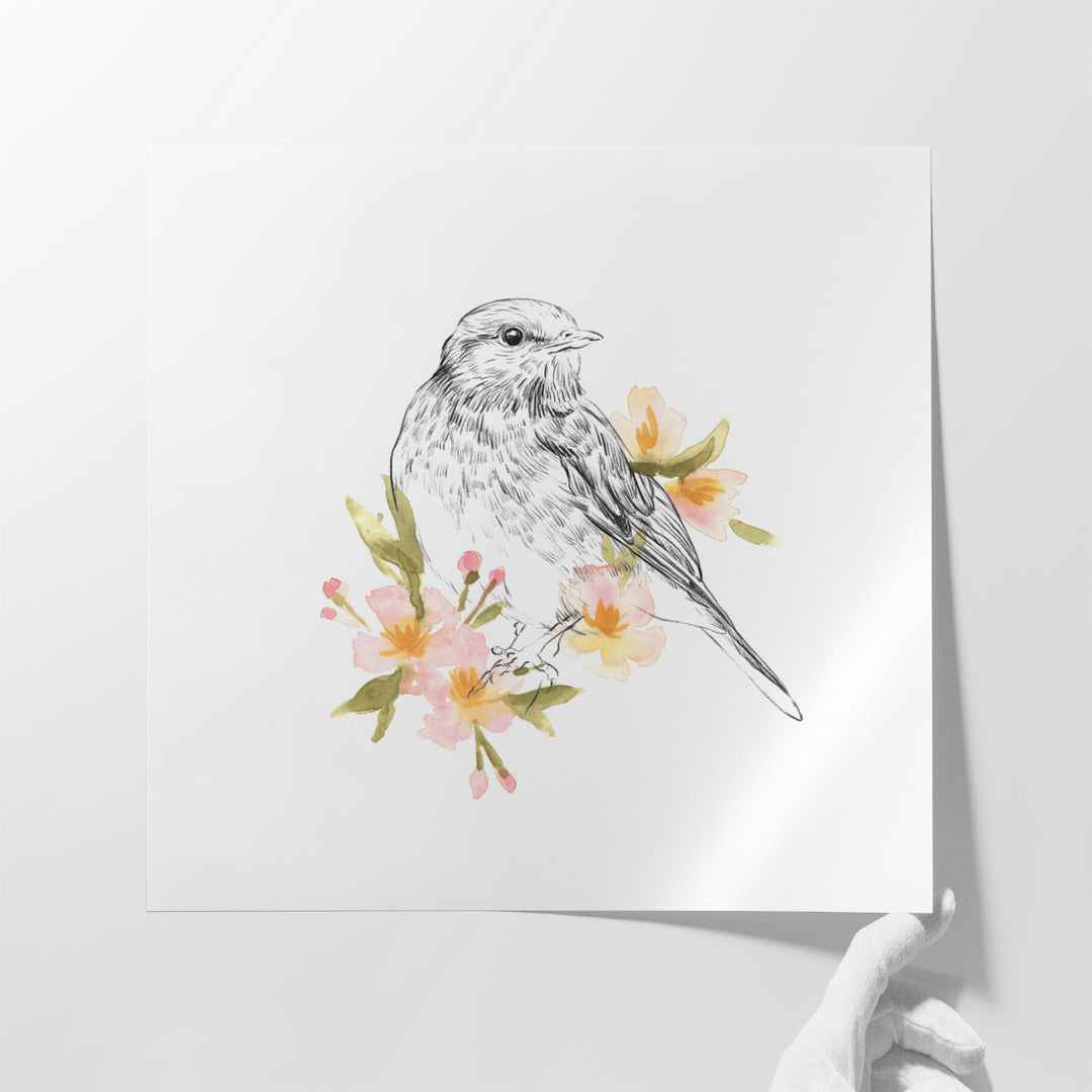 Robin Sketch I - Canvas Print Wall Art