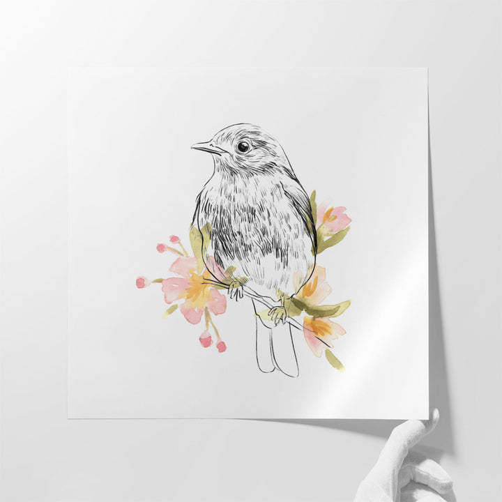 Robin Sketch II - Canvas Print Wall Art