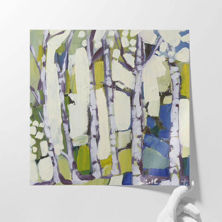 Birch in Summer I - Canvas Print Wall Art