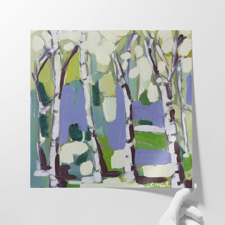 Birch in Summer II - Canvas Print Wall Art