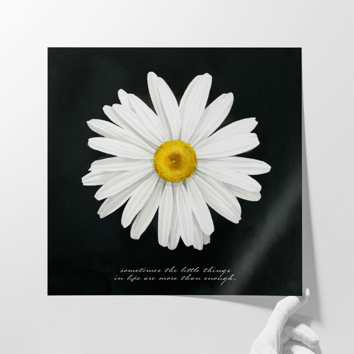 Delicate Daisy I Black And White - Canvas Print Wall Art