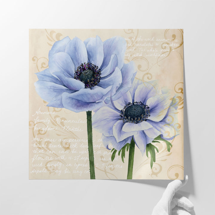 Elegant Anemone I - Canvas Print Wall Art