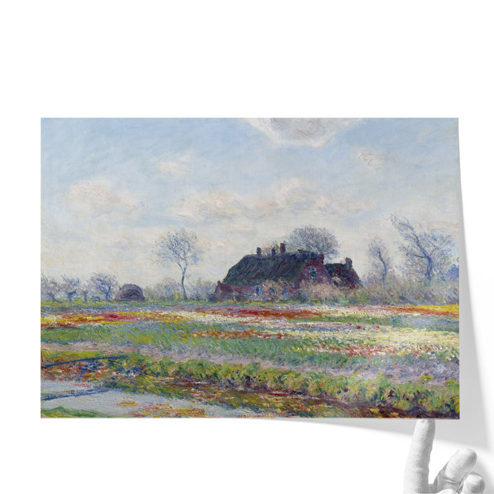 Tulip Fields at Sassenheim, 1886 - Canvas Print Wall Art