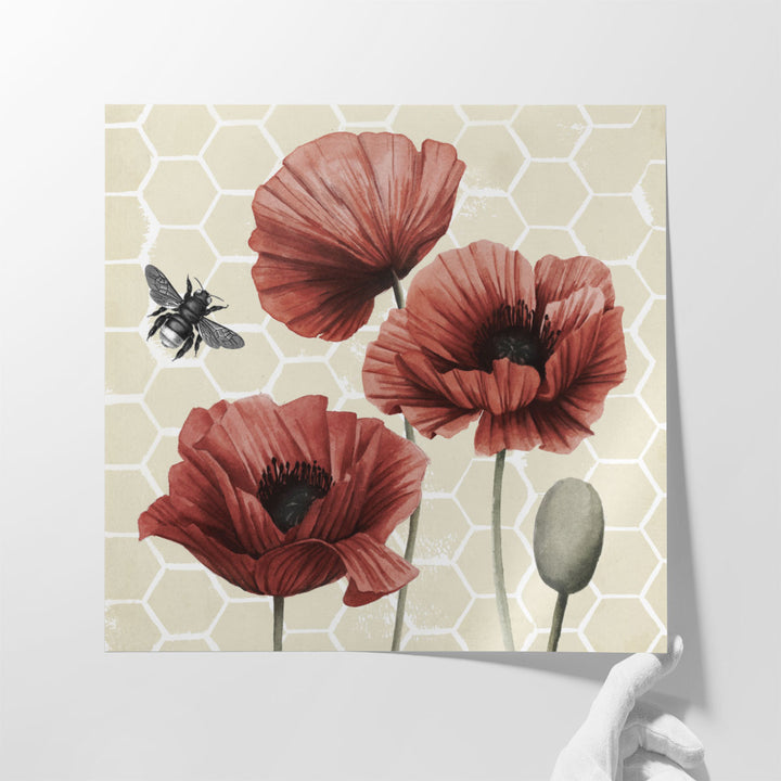 Poppy Buzz I - Canvas Print Wall Art