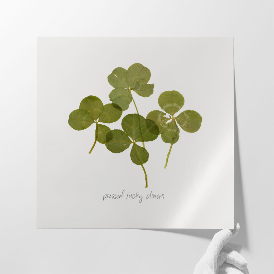 Pressed Clover I - Canvas Print Wall Art