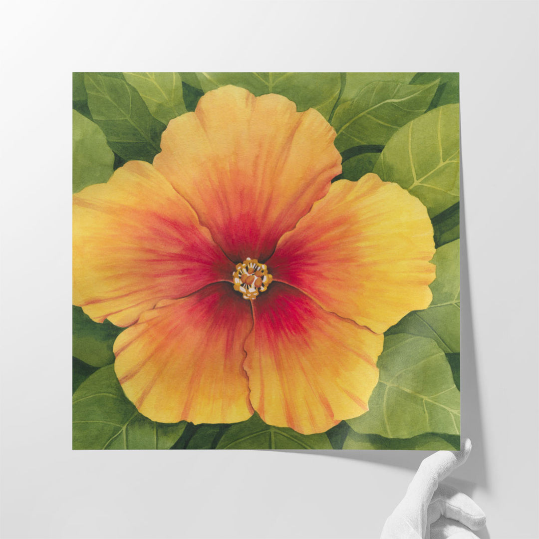 Wild Hibiscus I - Canvas Print Wall Art