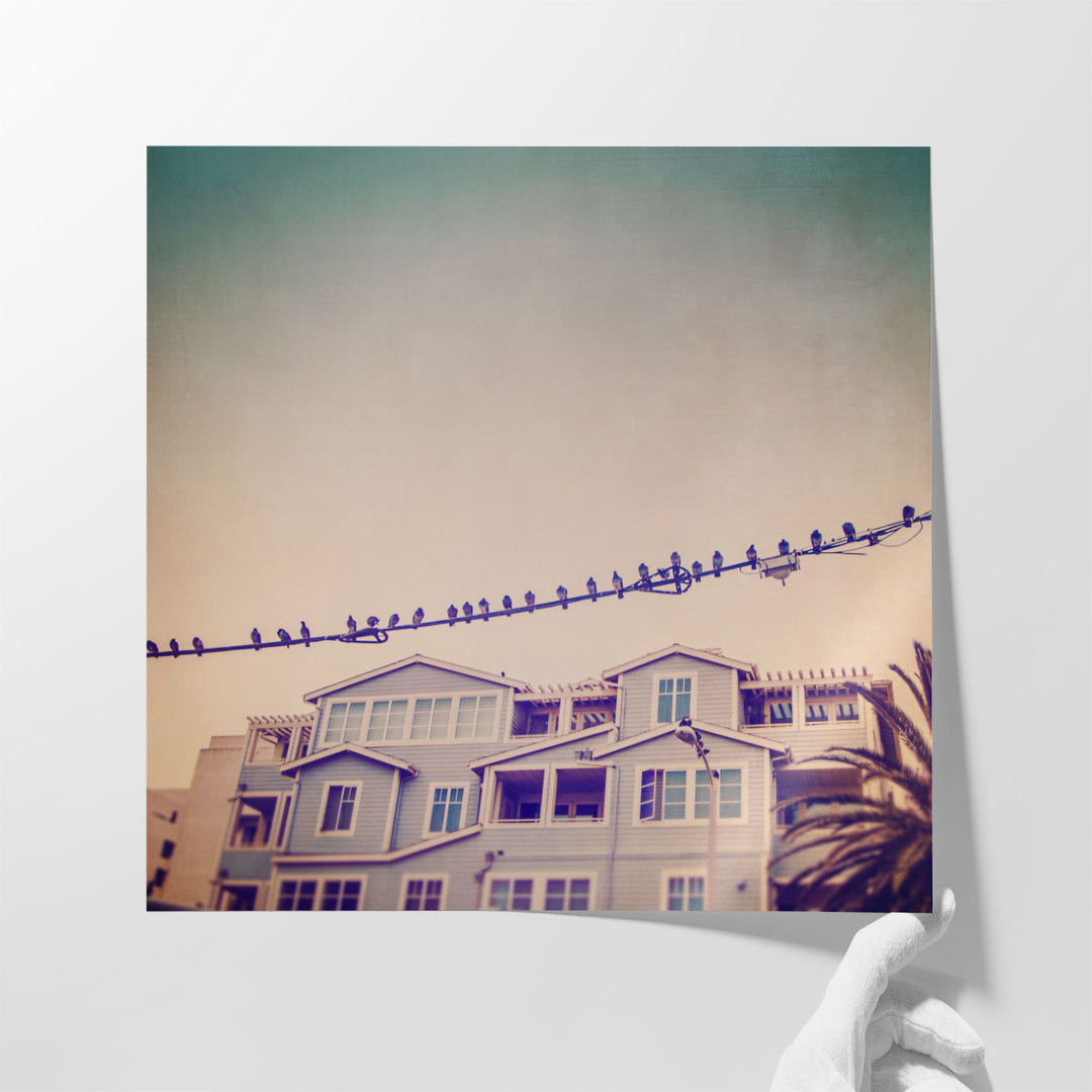 Birds On Wires I - Canvas Print Wall Art